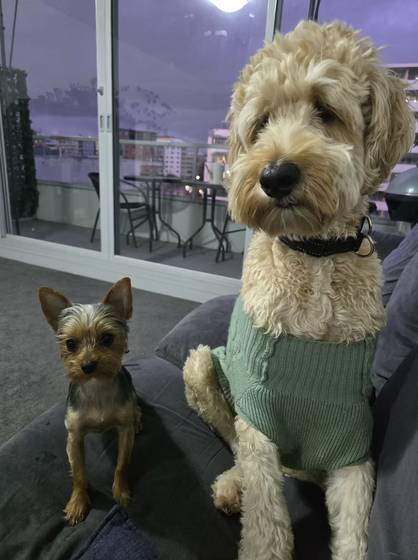 A guest at The Woofy Inn