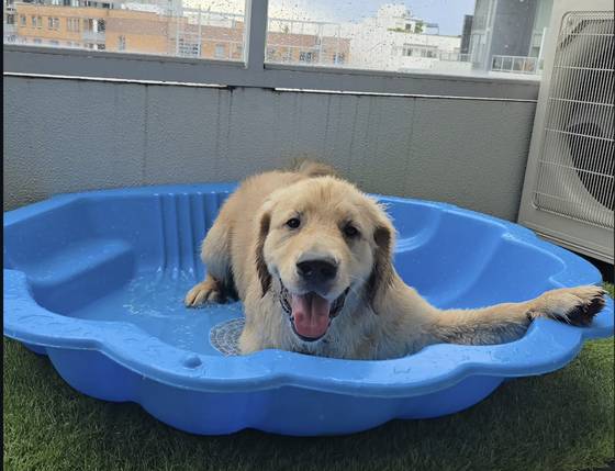 A guest cooling off