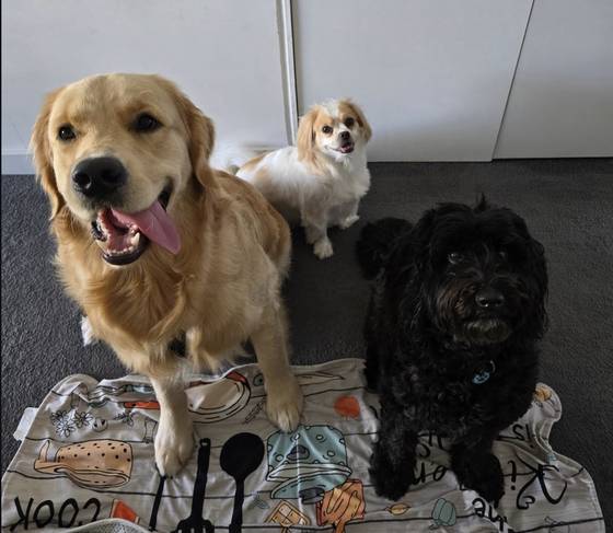 Guests waiting for treats