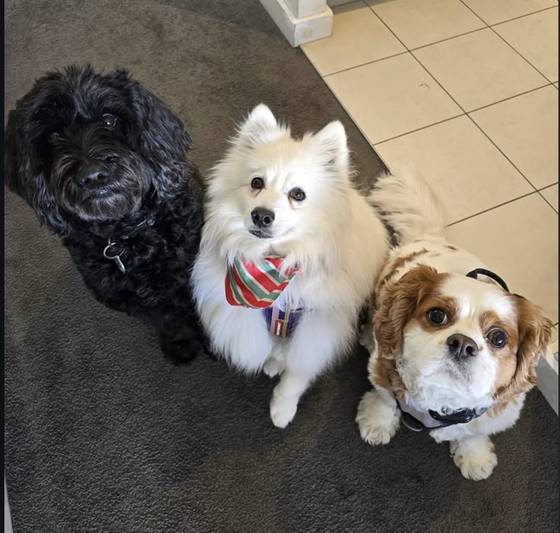 The welcome committee