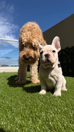 New friends in the sunshine