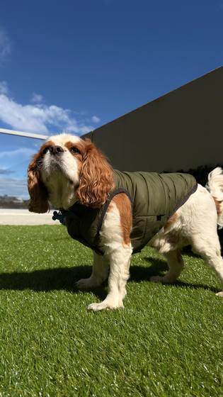 Out for a stroll